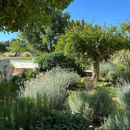 Βίλα Trullo Terramare