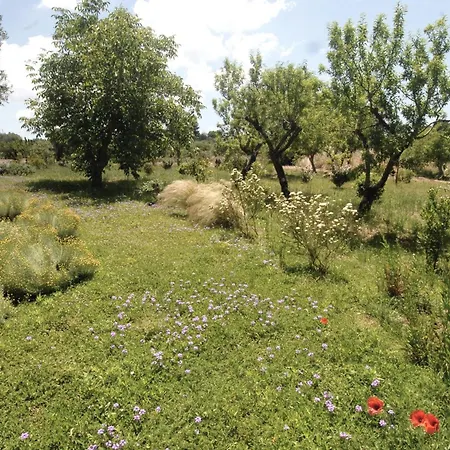 Trullo Terramare